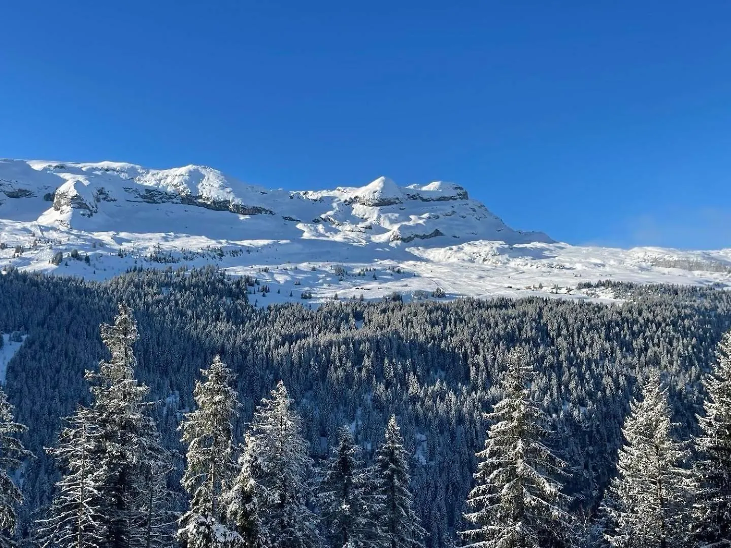 Apartment Verseau Flaine Foret Araches-la-Frasse